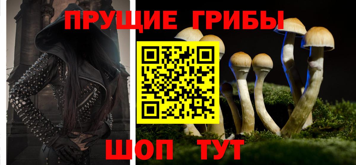 Псилоцибиновые грибы мухоморы  Вход с VPN  Назарово  Псилоцибиновые грибы прущие грибы 